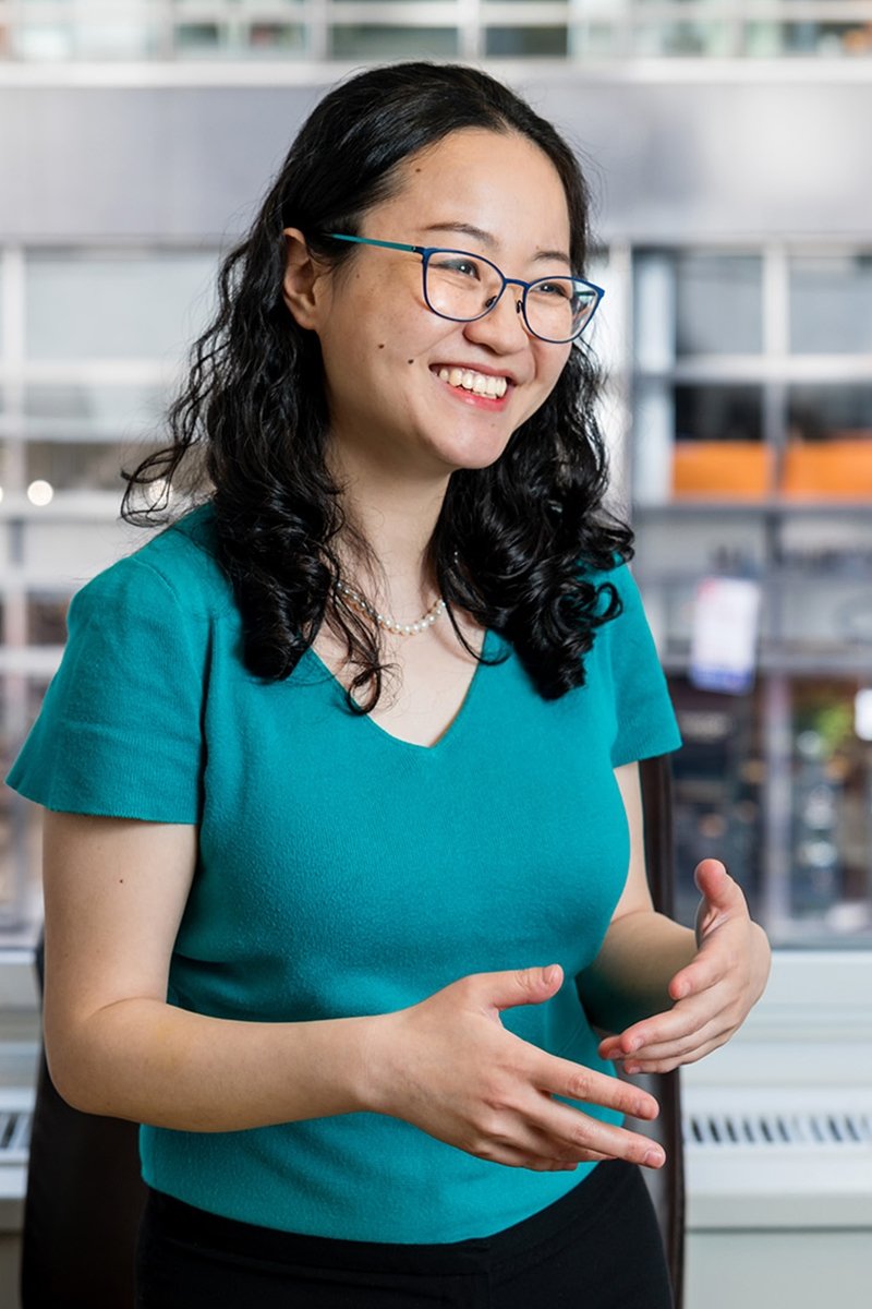 Michelle M Chen Esq alt